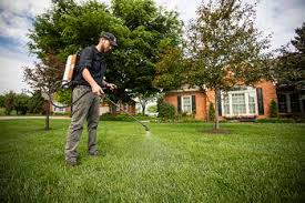 Learn What to Expect From Best Lawn Care Company Reviews